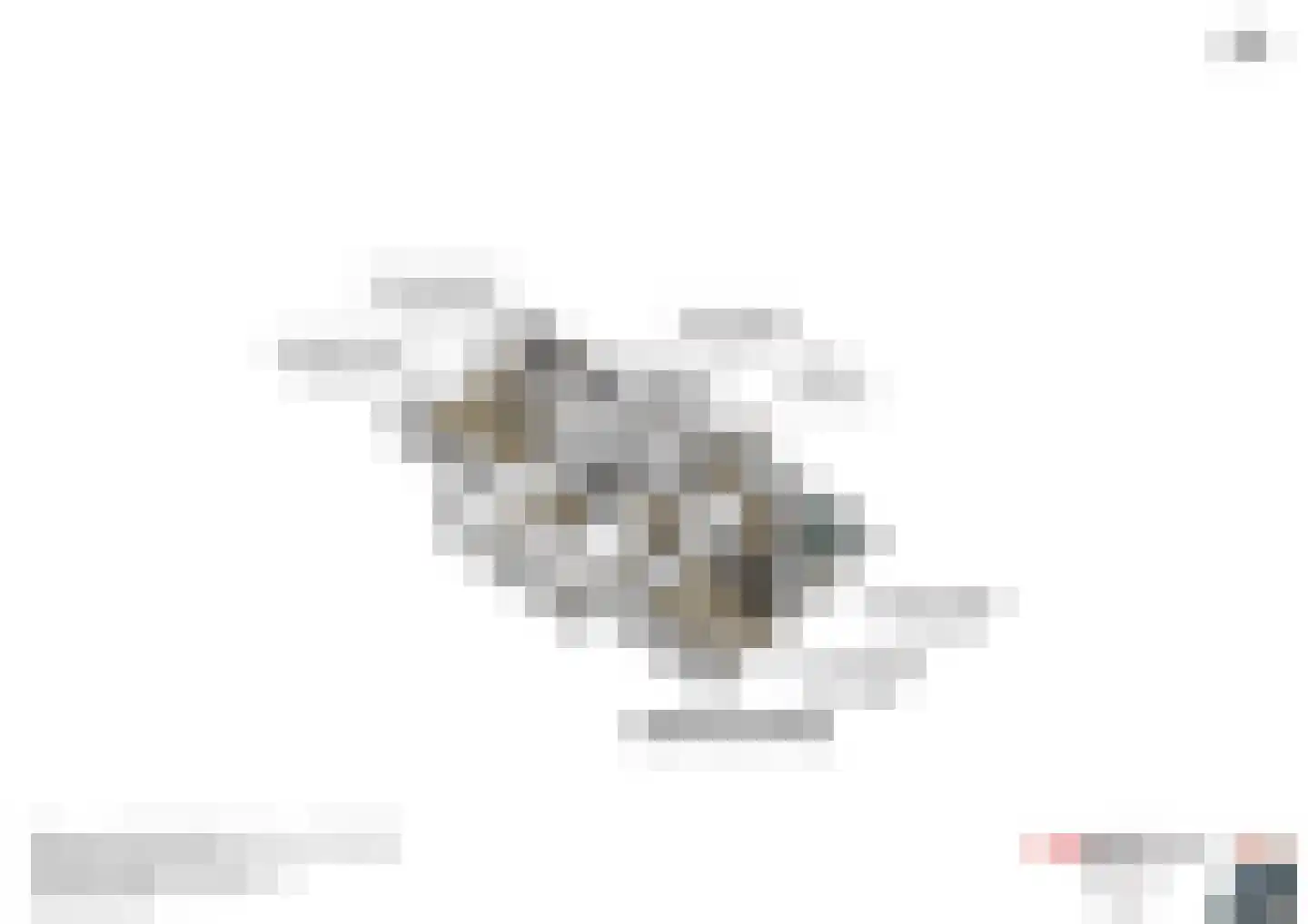 21 21 Dordrecht thumbnail 38