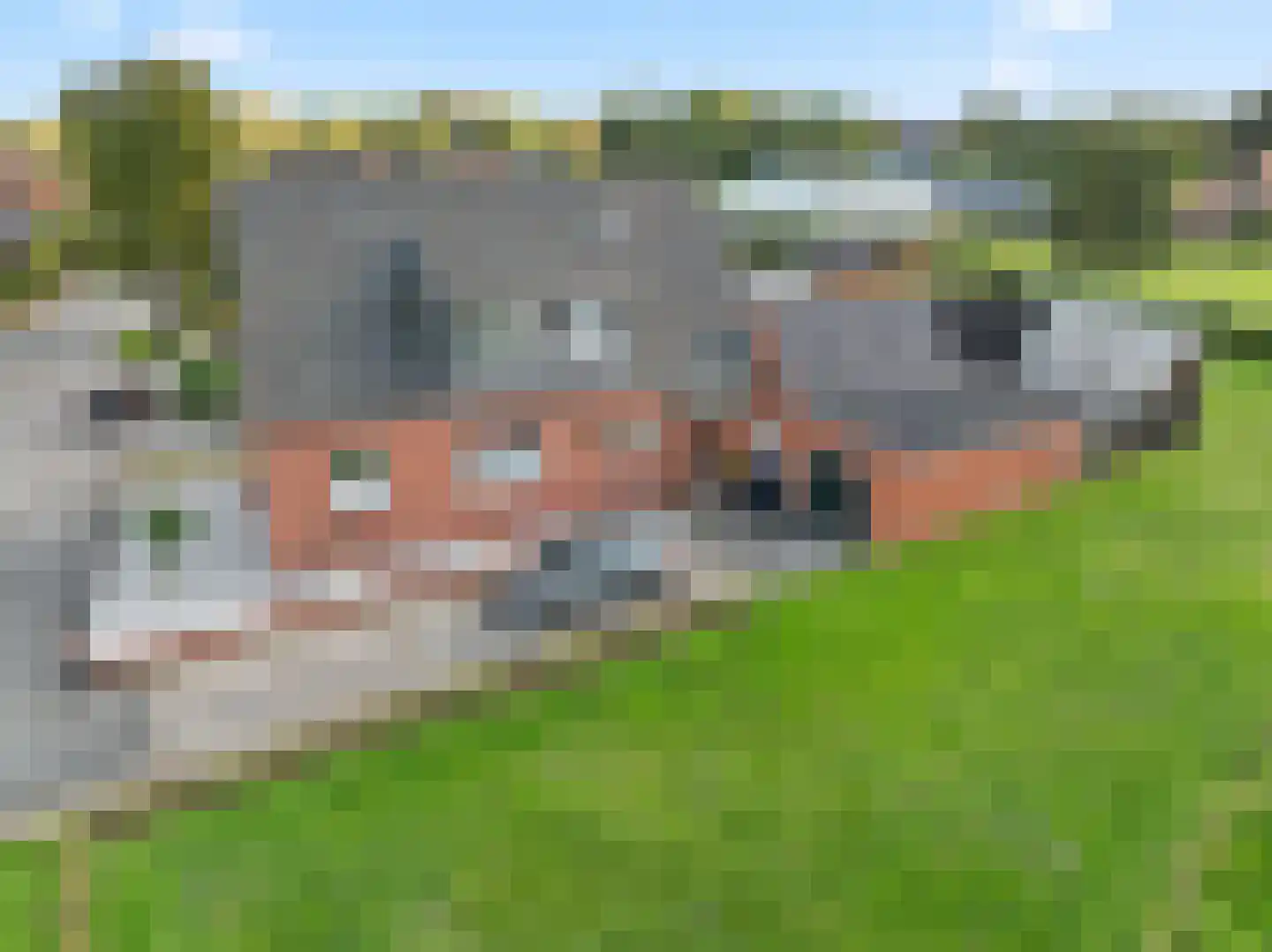 21 21 Dordrecht thumbnail 7