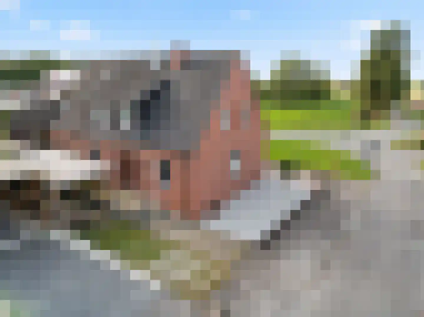 21 21 Dordrecht thumbnail 8