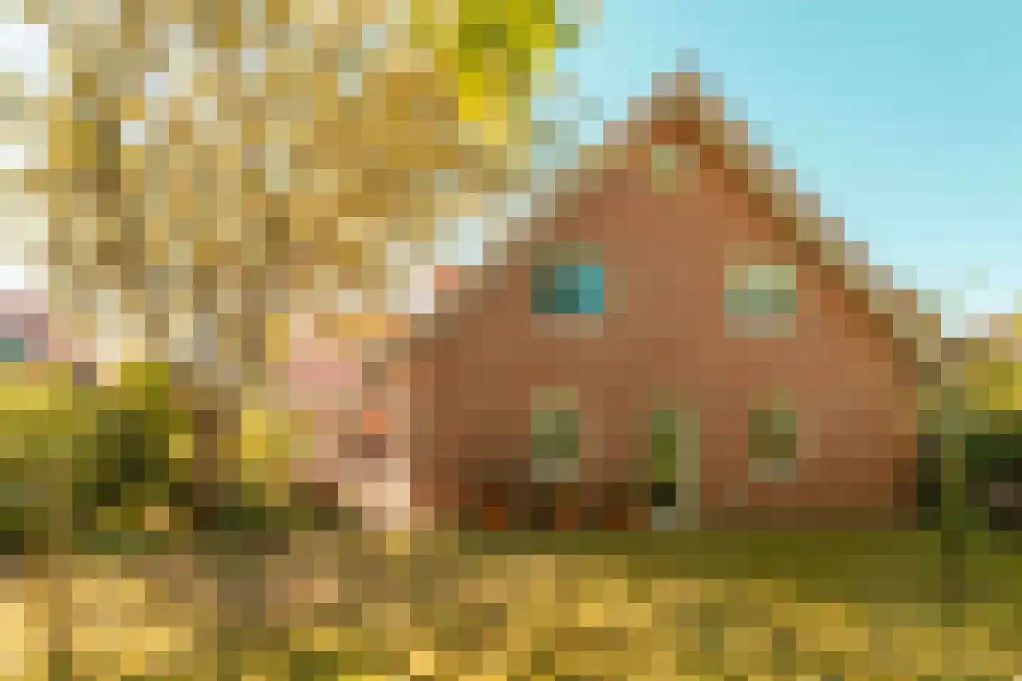 22 22 Dordrecht thumbnail 30
