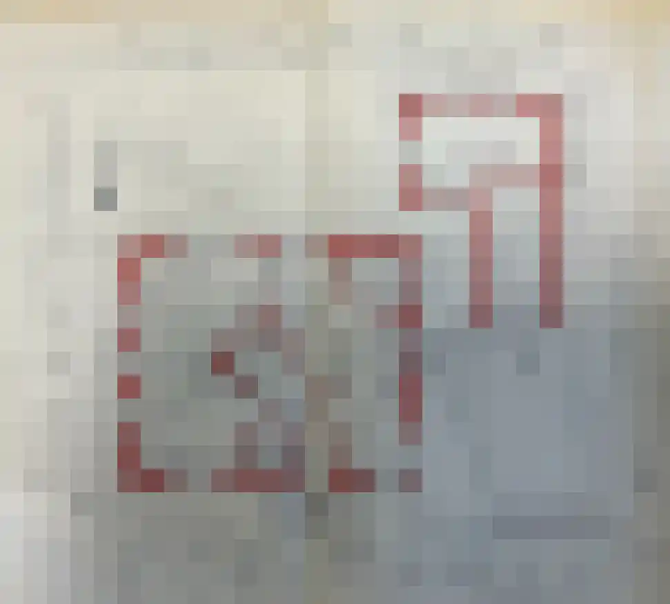 22 22 Dordrecht thumbnail 51