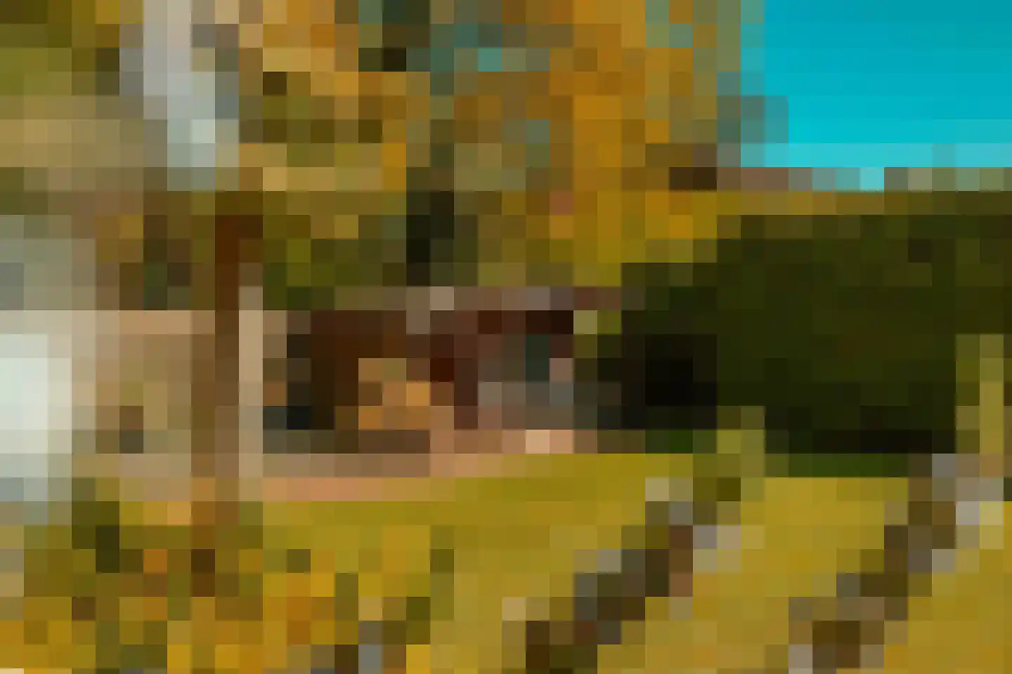 22 22 Dordrecht thumbnail 7