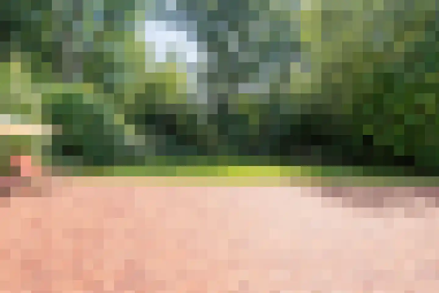 23 23 Dordrecht thumbnail 36