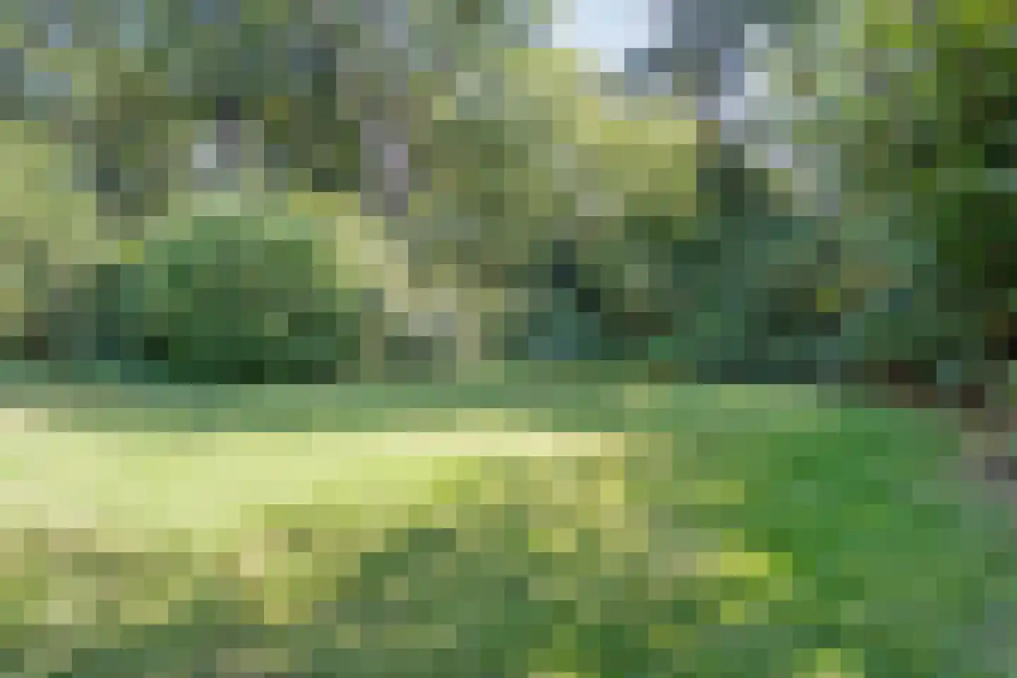 23 23 Dordrecht thumbnail 37