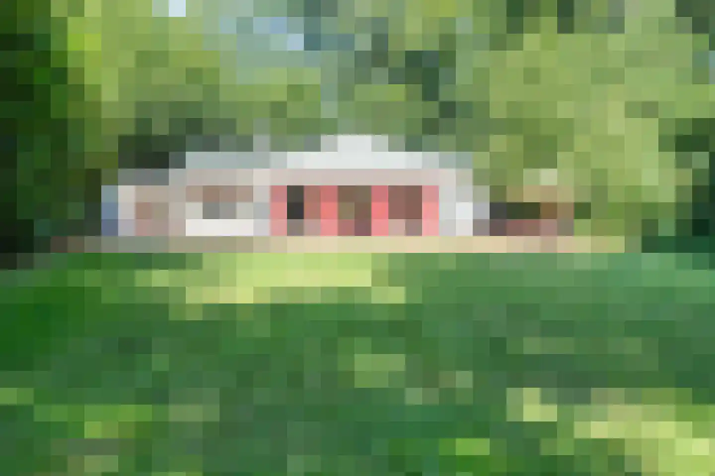 23 23 Dordrecht thumbnail 38