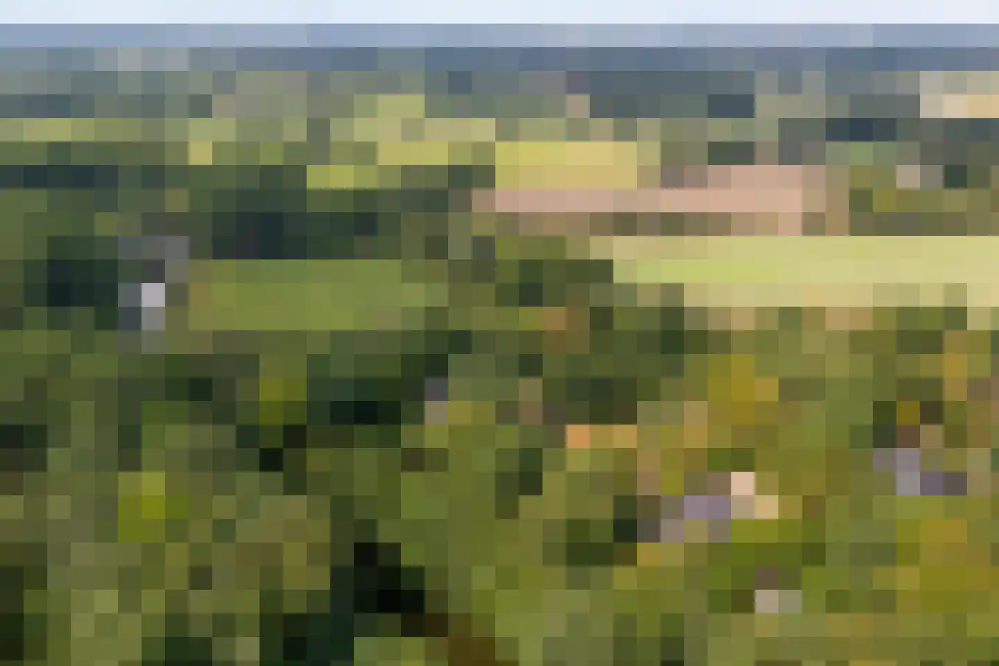 23 23 Dordrecht thumbnail 4