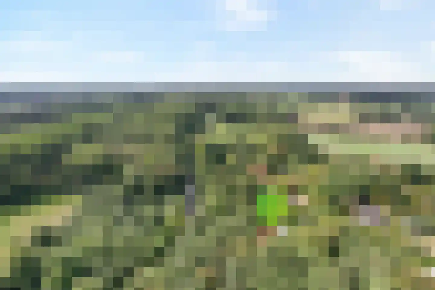 23 23 Dordrecht thumbnail 5