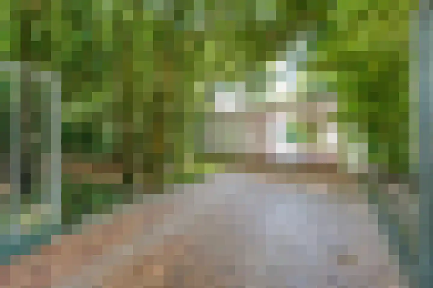 23 23 Dordrecht thumbnail 6