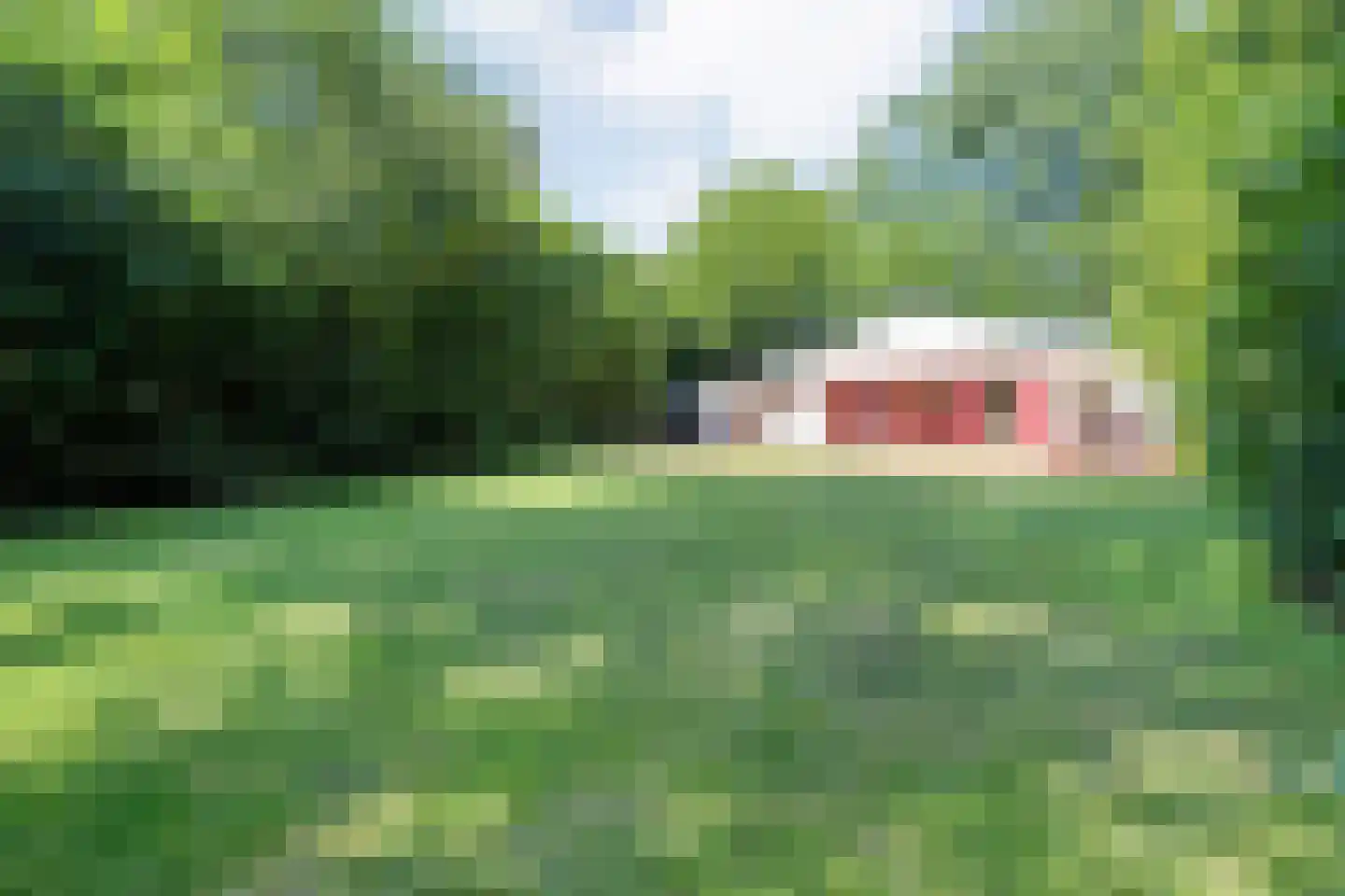 23 23 Dordrecht thumbnail 7