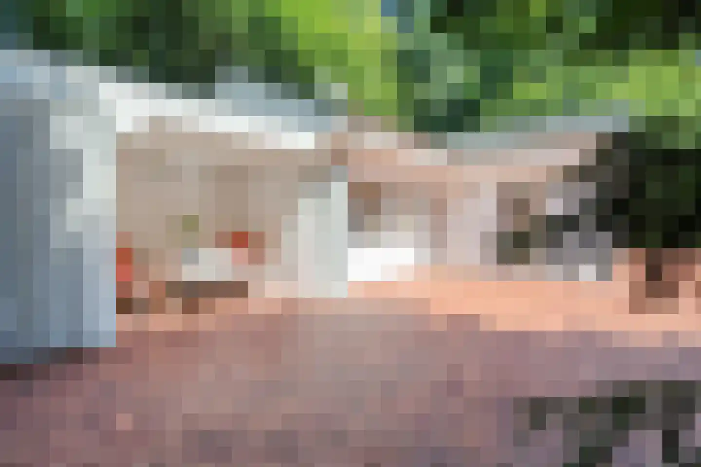 23 23 Dordrecht thumbnail 8