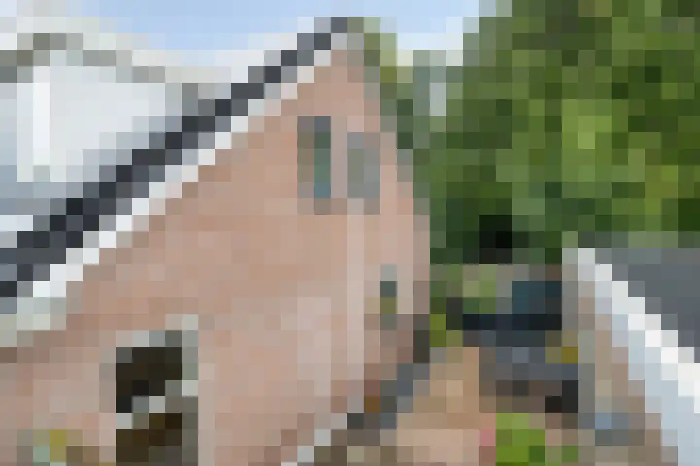 24e laan 1 Wildervank thumbnail 28