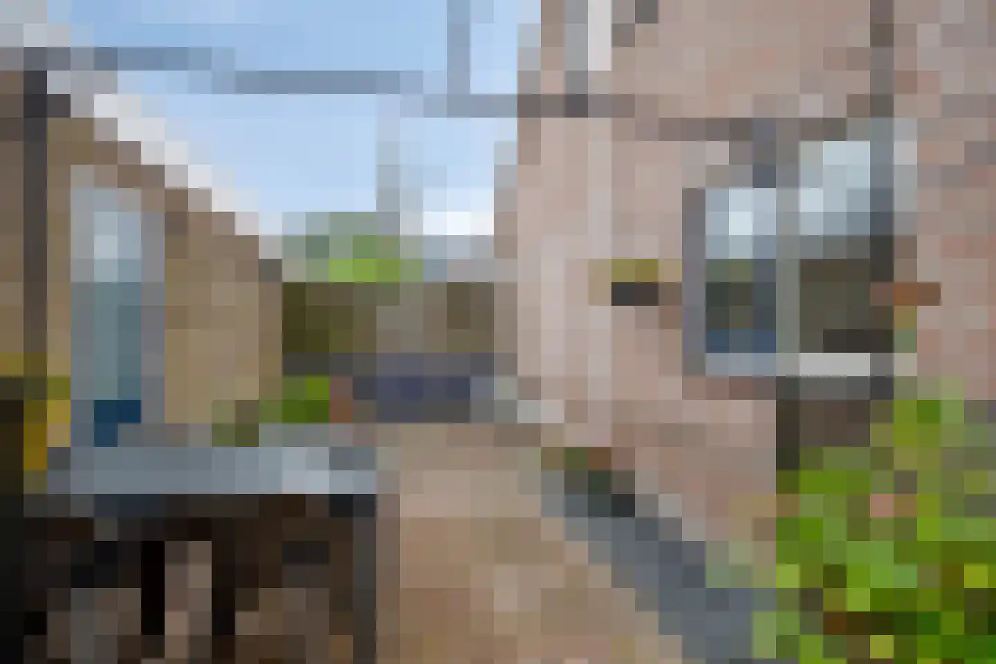 24e laan 1 Wildervank thumbnail 32