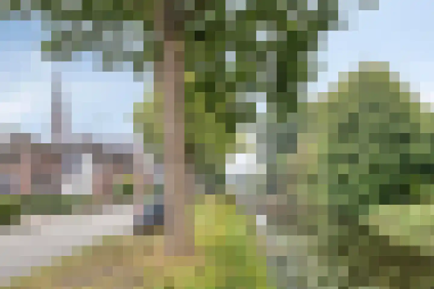 24e laan 1 Wildervank thumbnail 38
