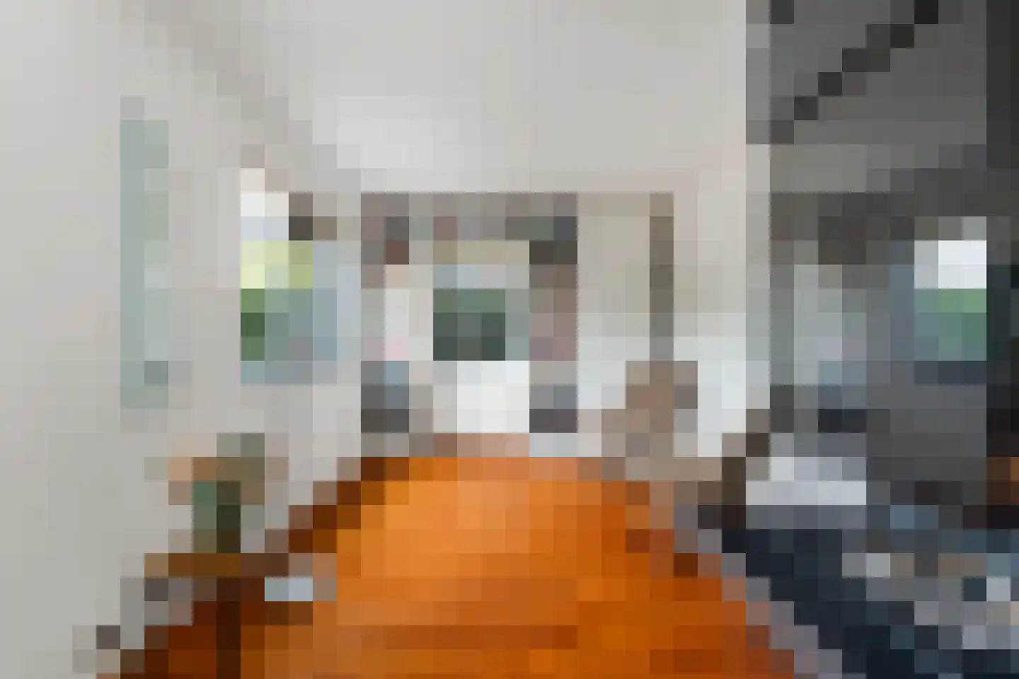28 Oktoberstraat 1 Wouw thumbnail 15