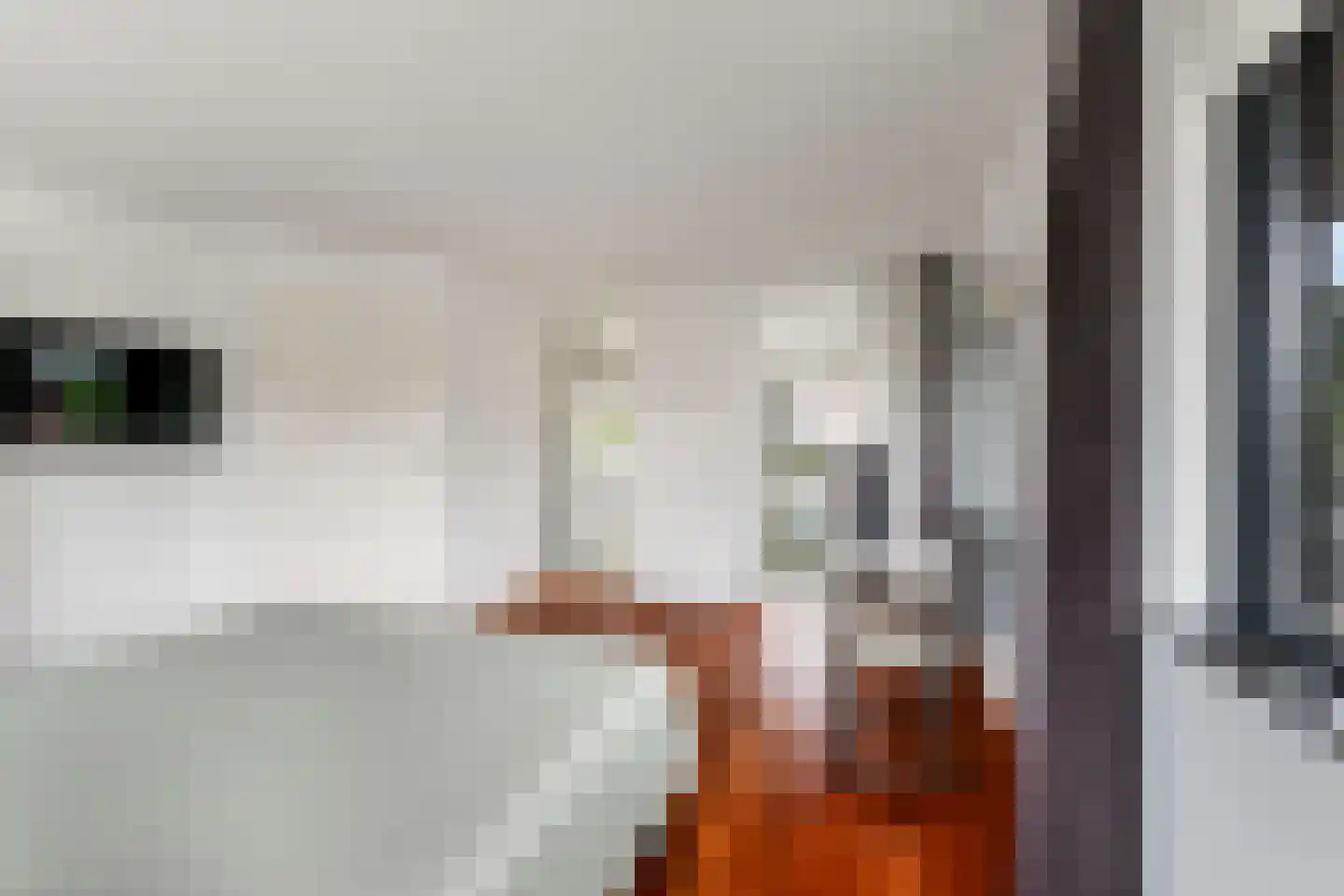 28 Oktoberstraat 1 Wouw thumbnail 30