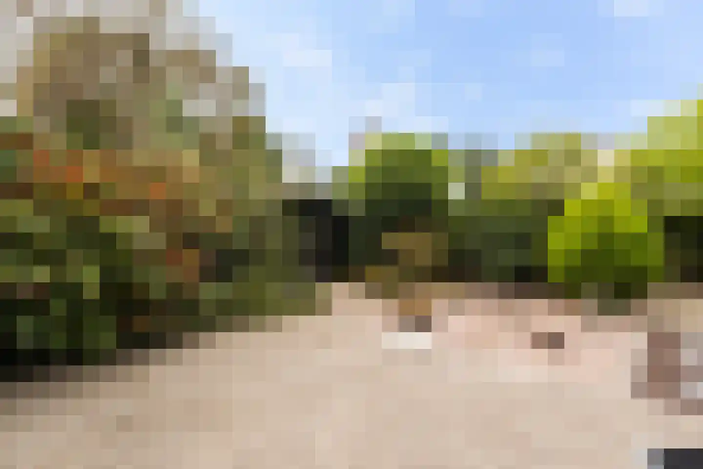 28 Oktoberstraat 1 Wouw thumbnail 45