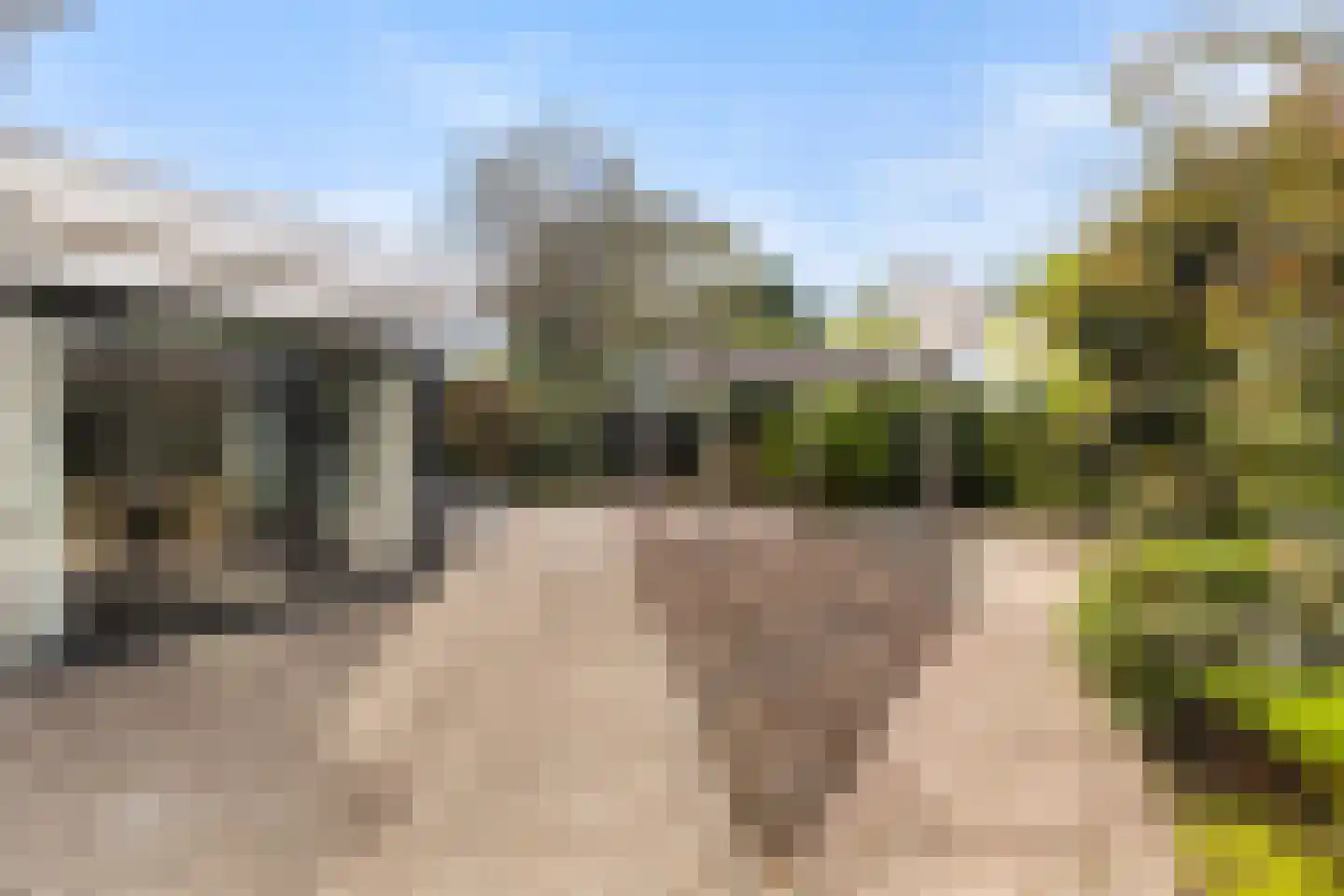 28 Oktoberstraat 1 Wouw thumbnail 48