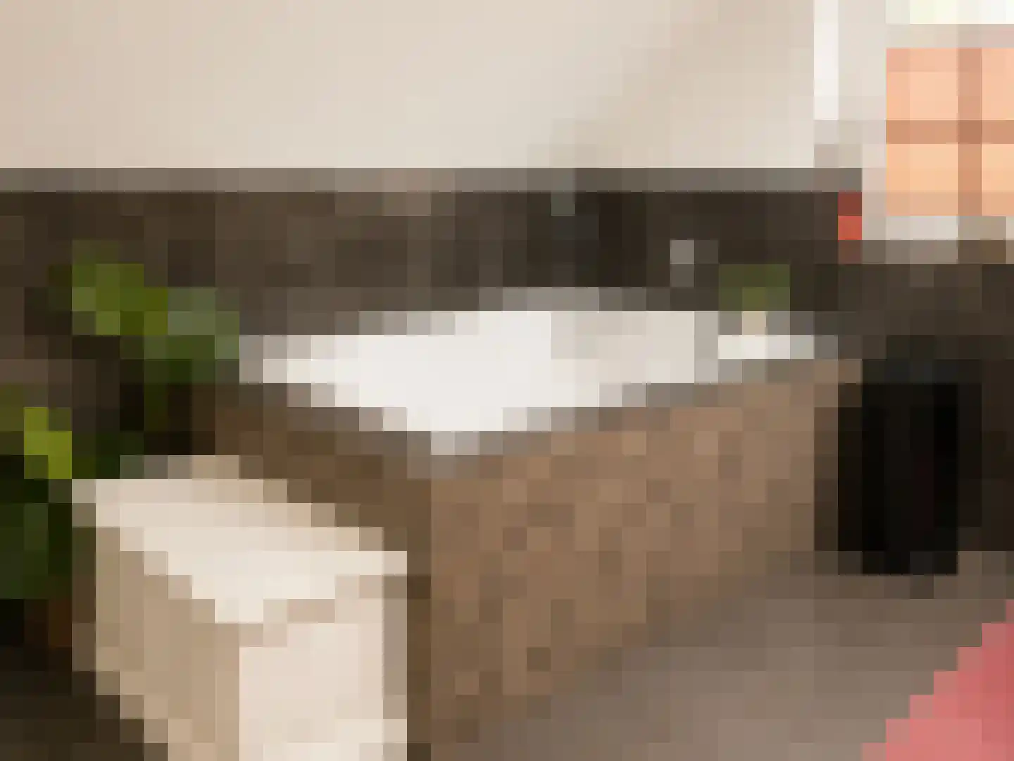 28 Oktoberstraat 28 Wouw thumbnail 13