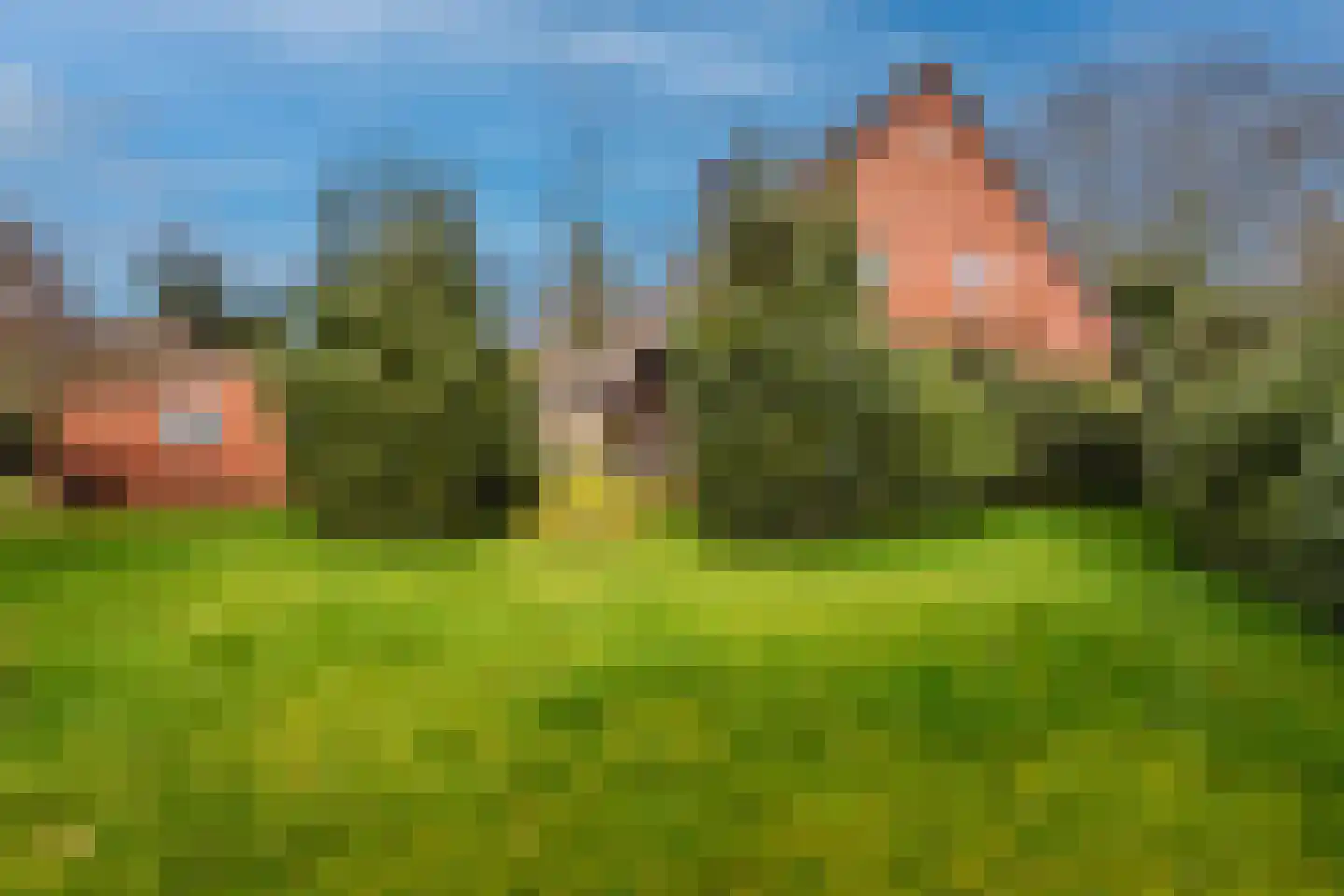 28 Oktoberstraat 28 Wouw thumbnail 31