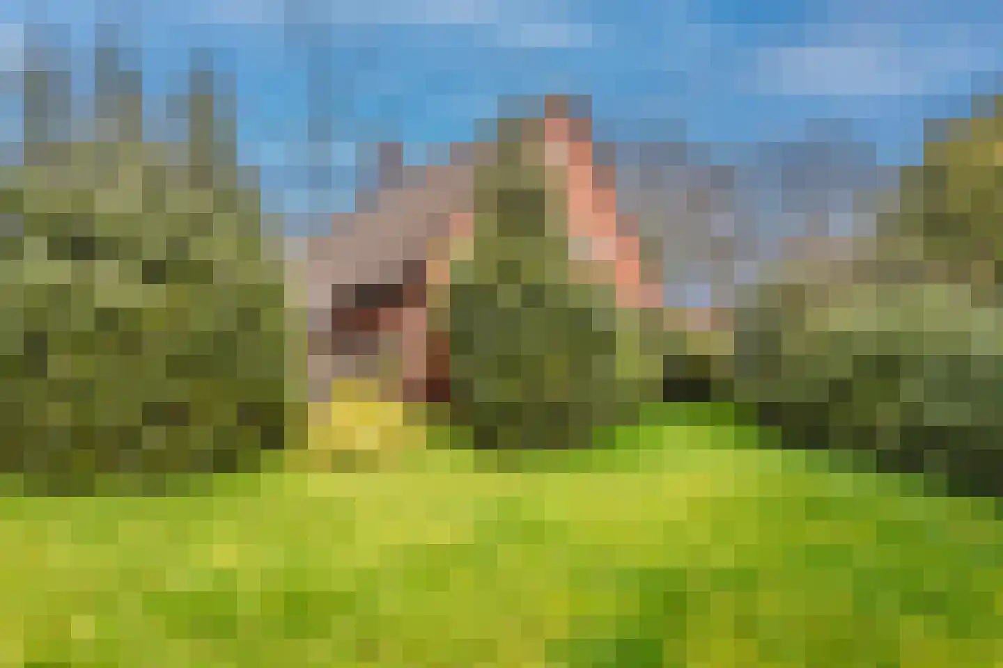 28 Oktoberstraat 28 Wouw thumbnail 32