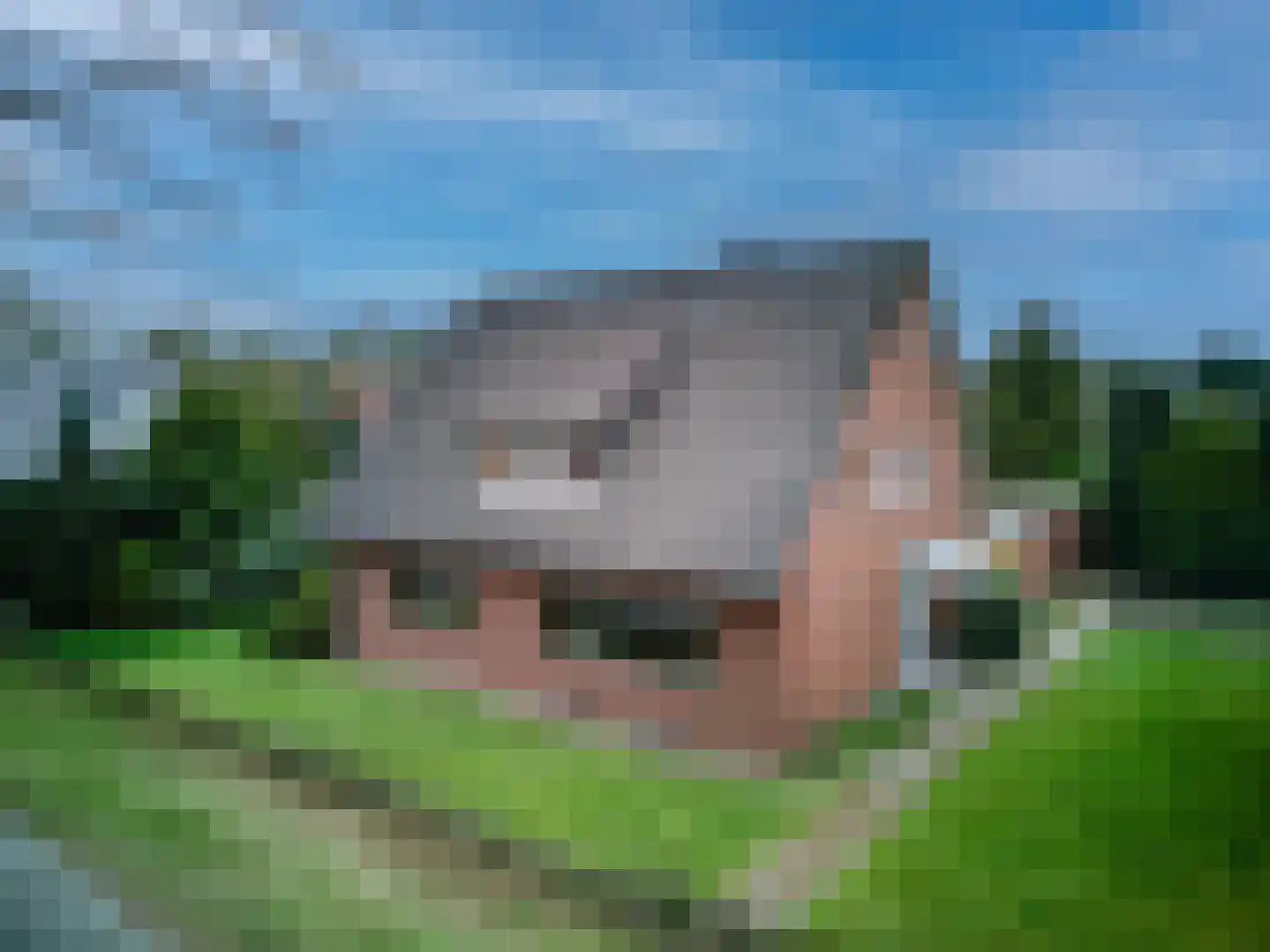 28 Oktoberstraat 28 Wouw thumbnail 39