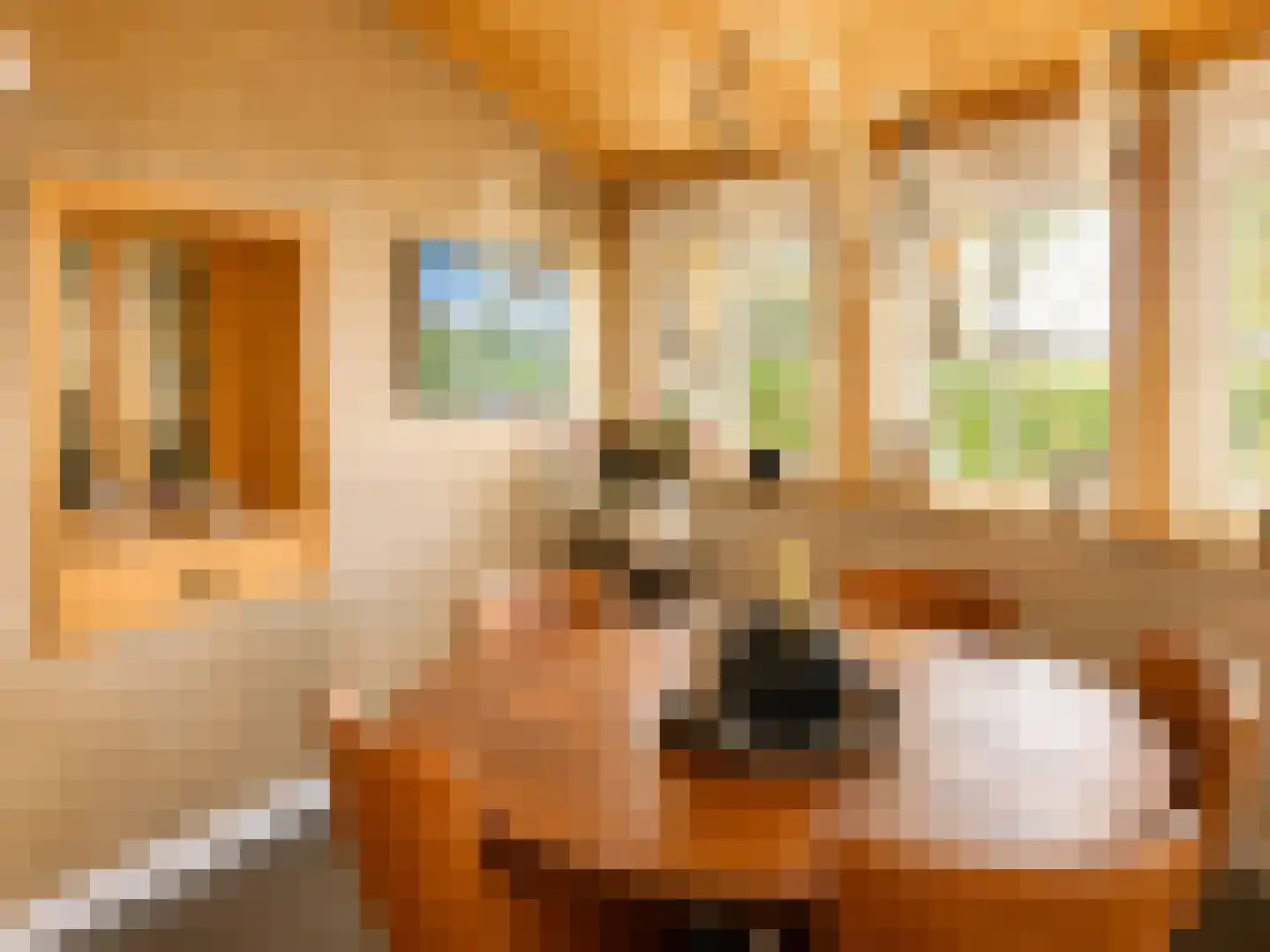 28 Oktoberstraat 28 Wouw thumbnail 4