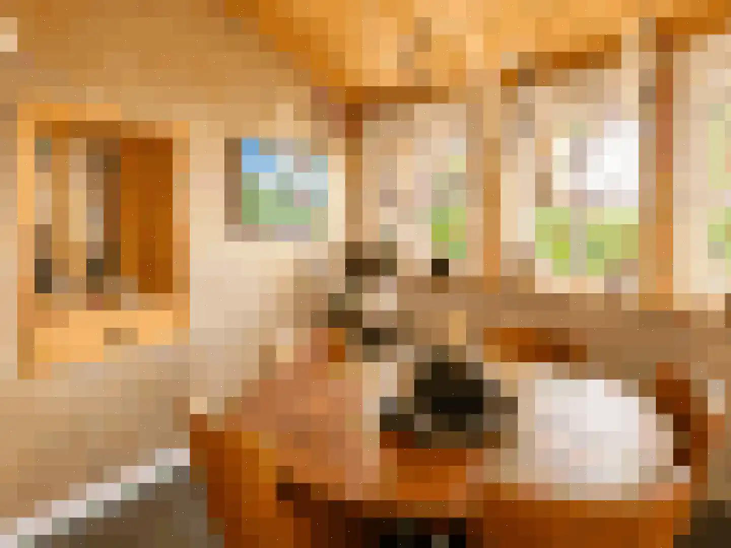 28 Oktoberstraat 28 Wouw thumbnail 4