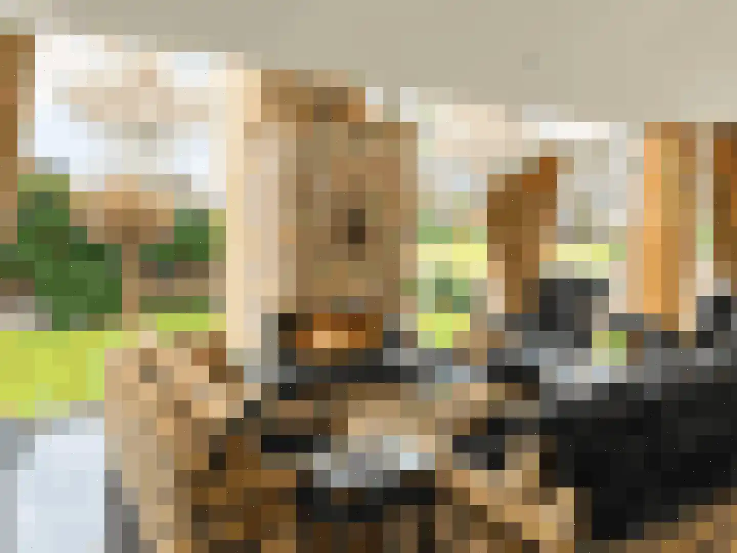 28 Oktoberstraat 28 Wouw thumbnail 6