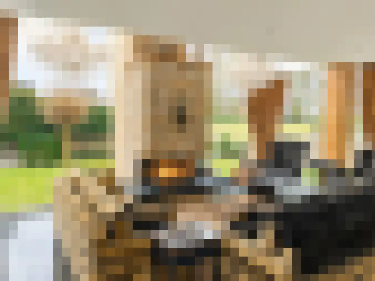 28 Oktoberstraat 28 Wouw thumbnail 6