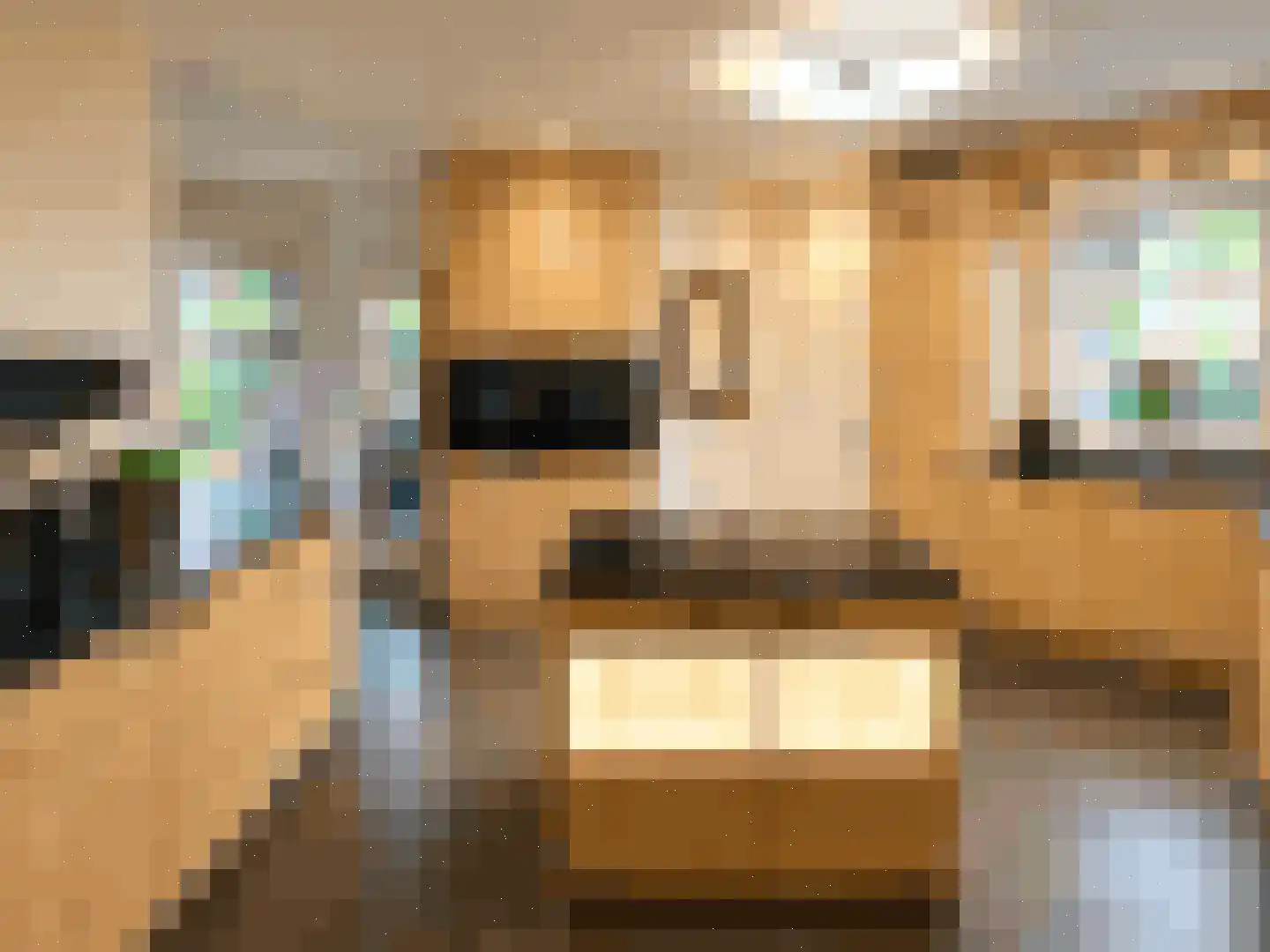 28 Oktoberstraat 28 Wouw thumbnail 8