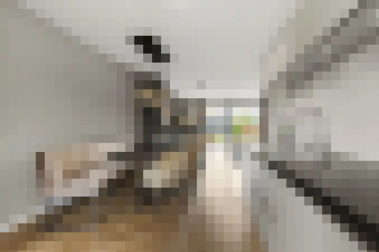 2de Poortstraat 13 Hoef en Haag thumbnail 10
