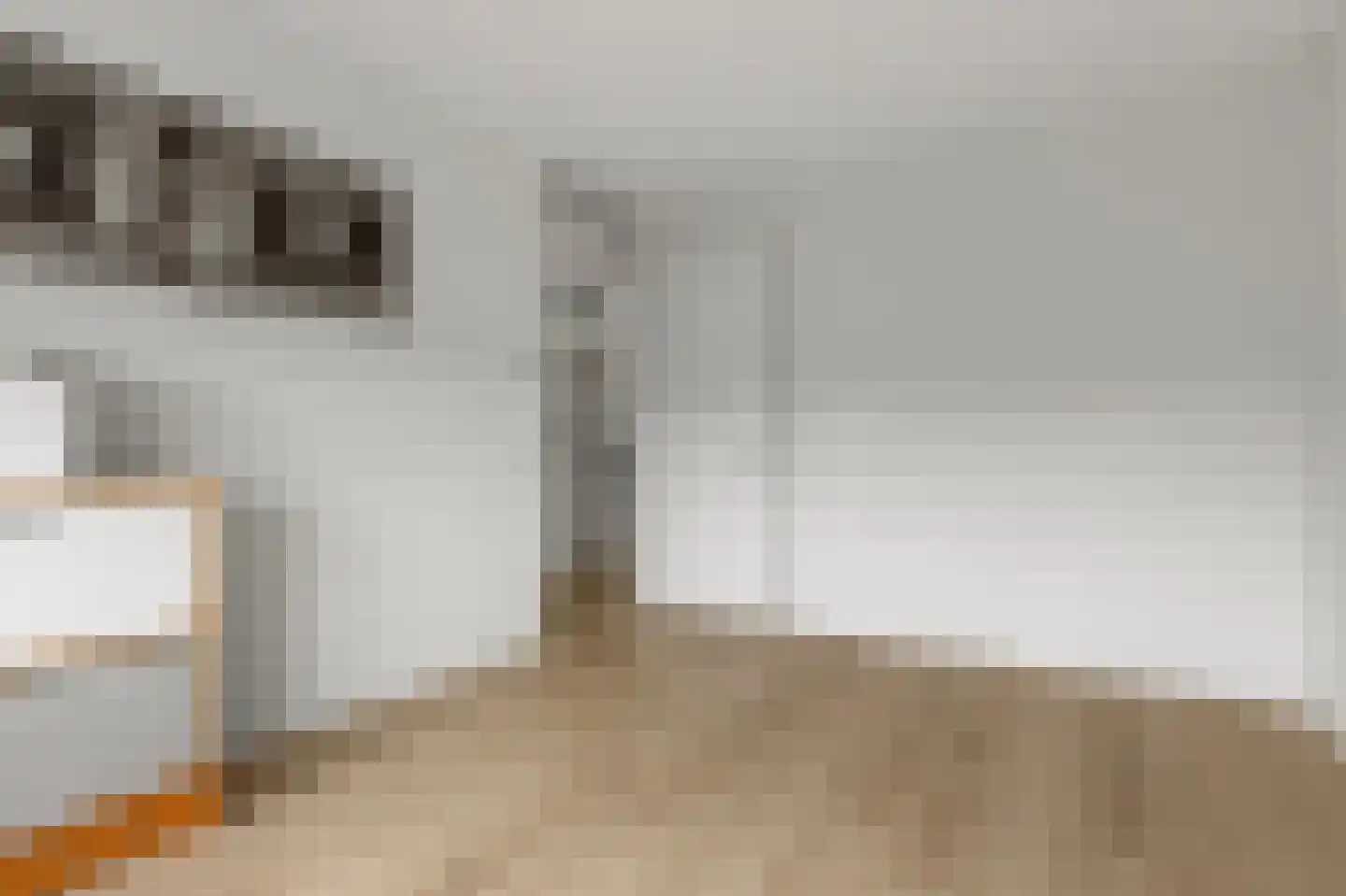2de Poortstraat 13 Hoef en Haag thumbnail 18