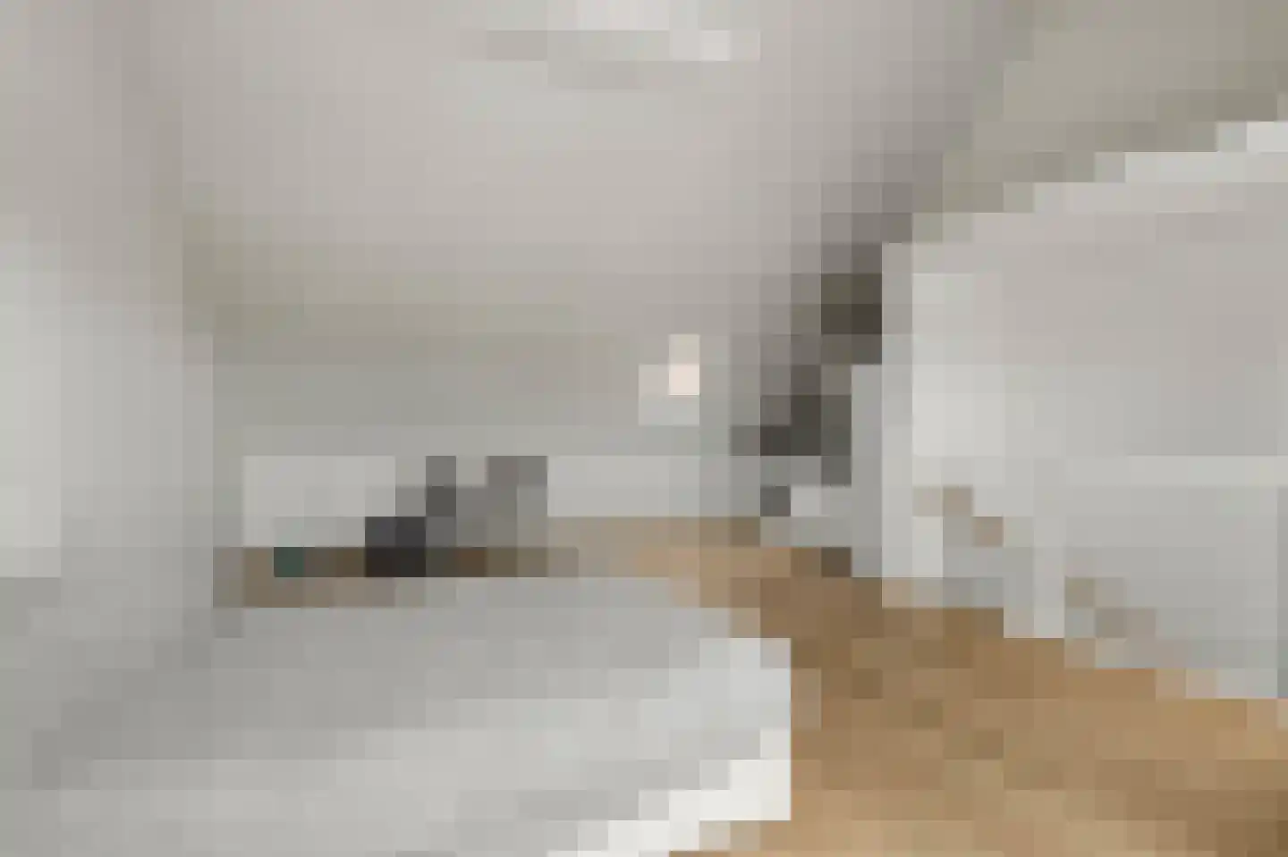 2de Poortstraat 13 Hoef en Haag thumbnail 27