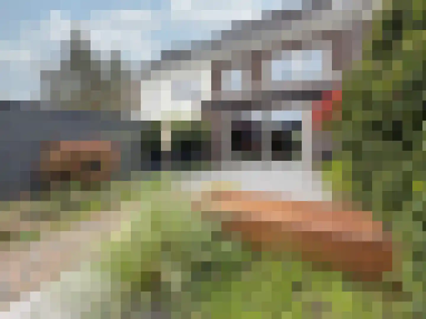 2de Poortstraat 13 Hoef en Haag thumbnail 31