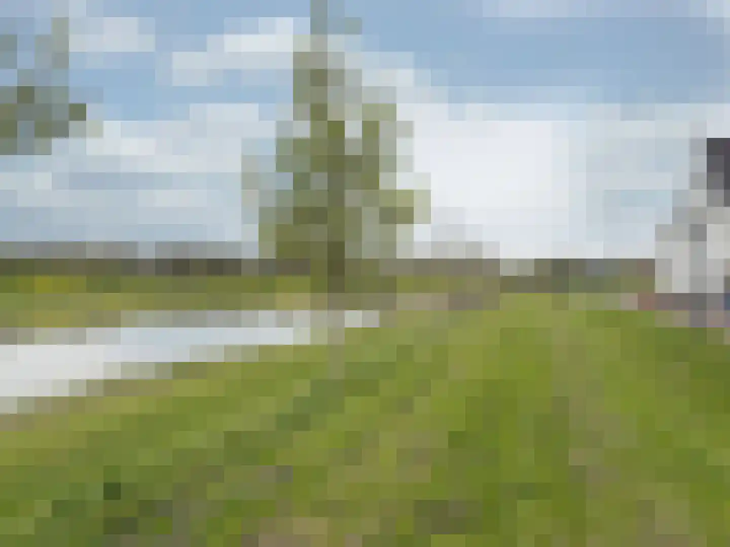 2de Poortstraat 13 Hoef en Haag thumbnail 38
