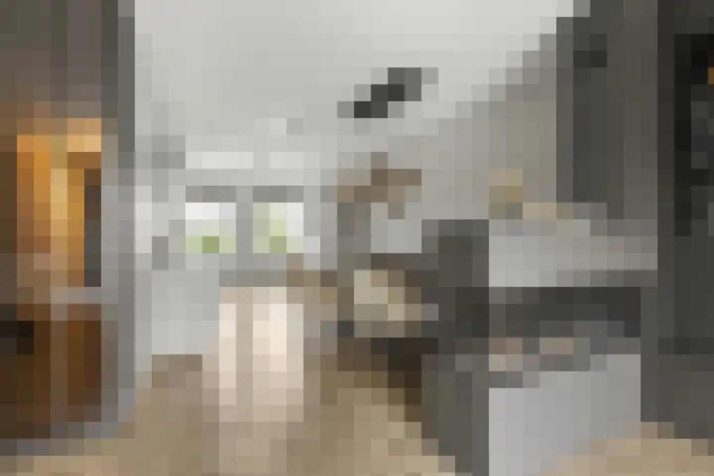 2de Poortstraat 13 Hoef en Haag thumbnail 4