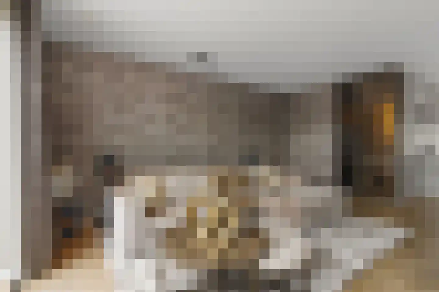 2de Poortstraat 13 Hoef en Haag thumbnail 5