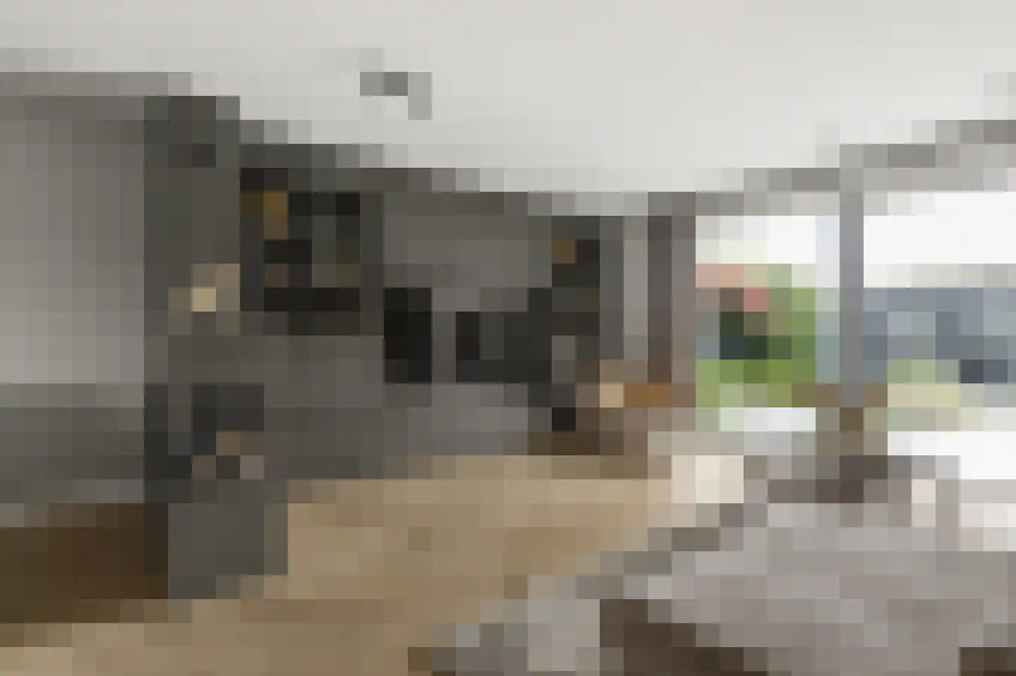 2de Poortstraat 13 Hoef en Haag thumbnail 6