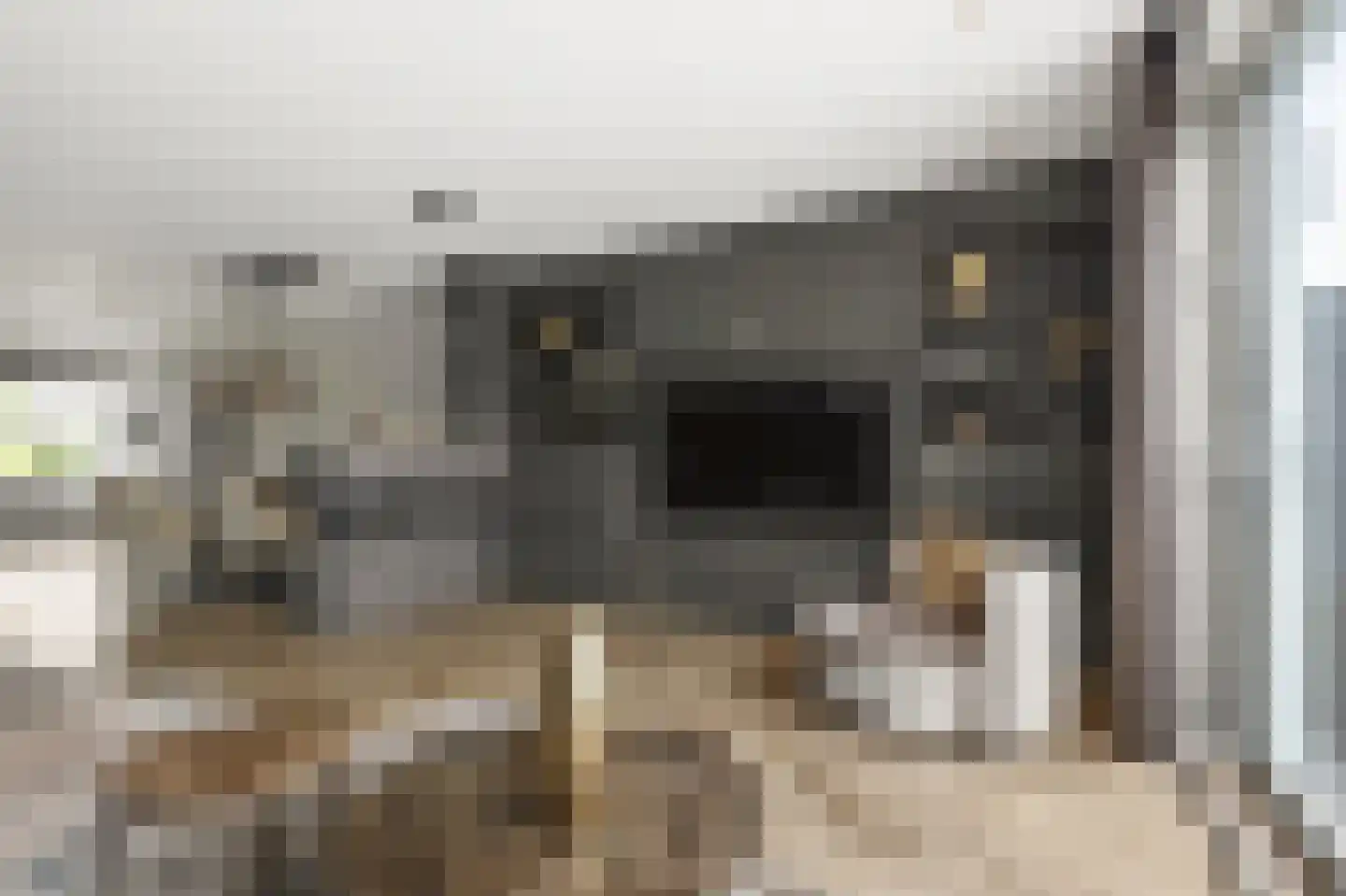 2de Poortstraat 13 Hoef en Haag thumbnail 8