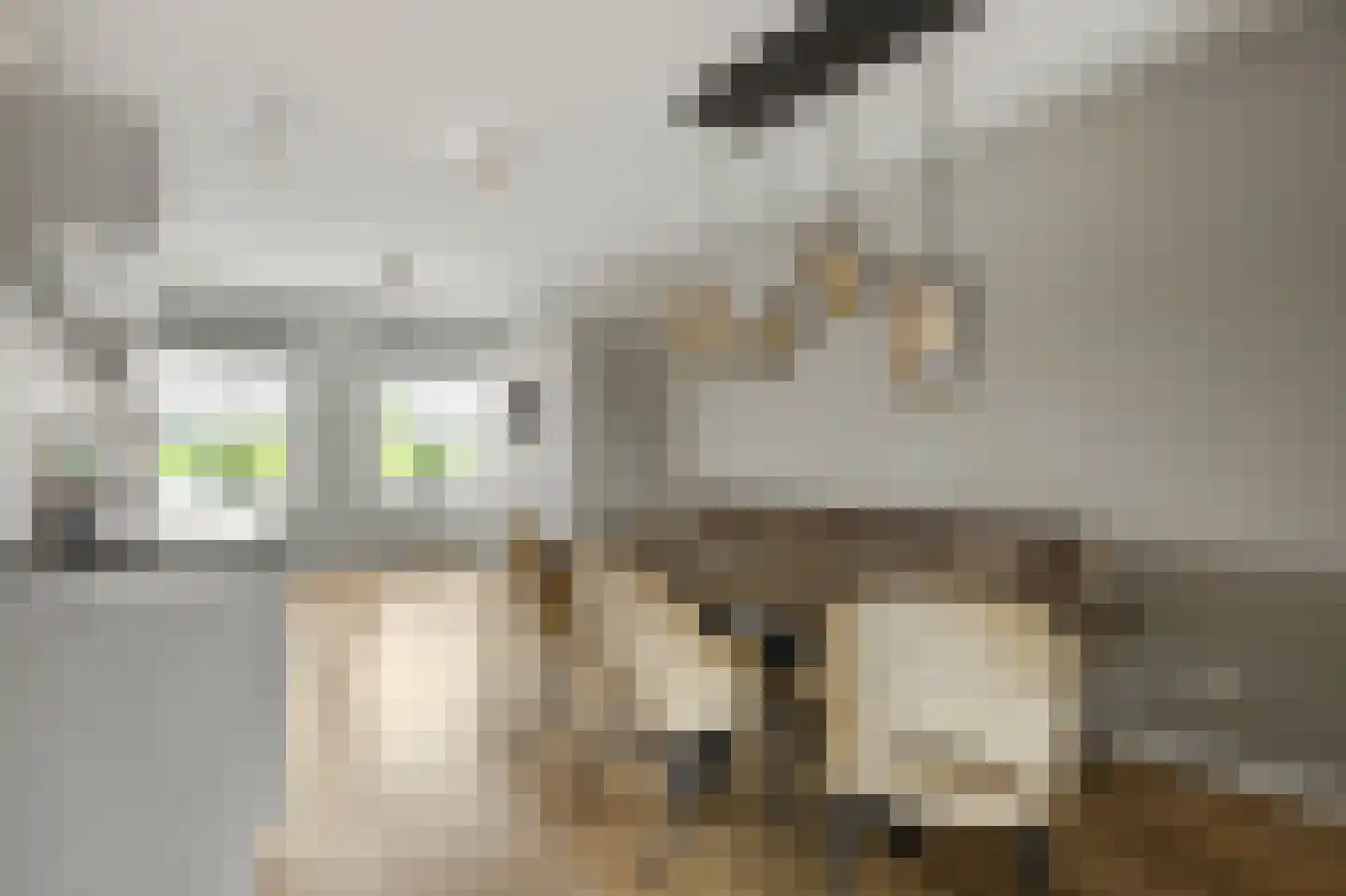 2de Poortstraat 13 Hoef en Haag thumbnail 9
