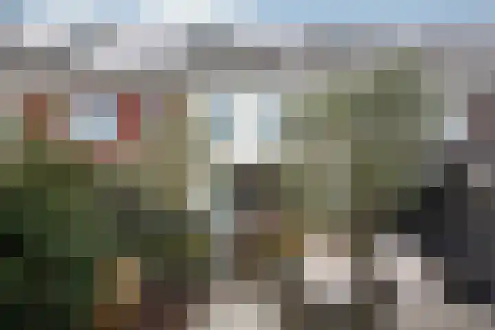 2de Poortstraat 15 Hoef en Haag thumbnail 21