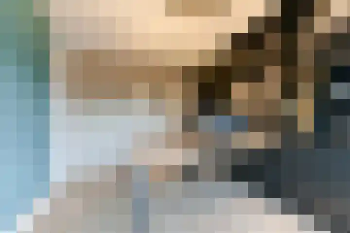 2de Poortstraat 15 Hoef en Haag thumbnail 33