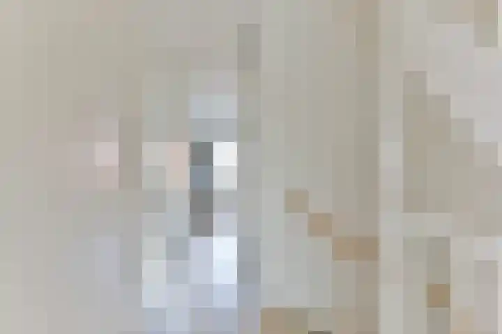 2de Poortstraat 15 Hoef en Haag thumbnail 34