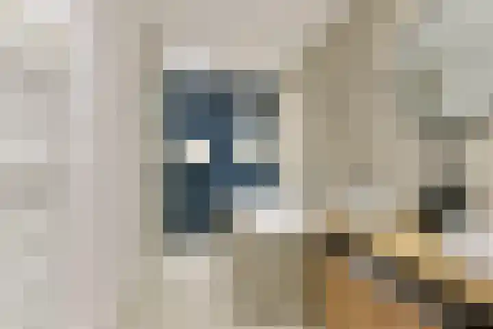 2de Poortstraat 15 Hoef en Haag thumbnail 37