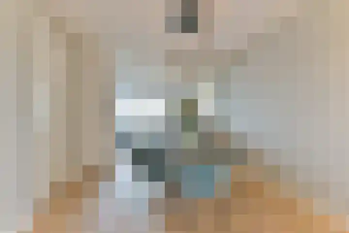 2de Poortstraat 15 Hoef en Haag thumbnail 5
