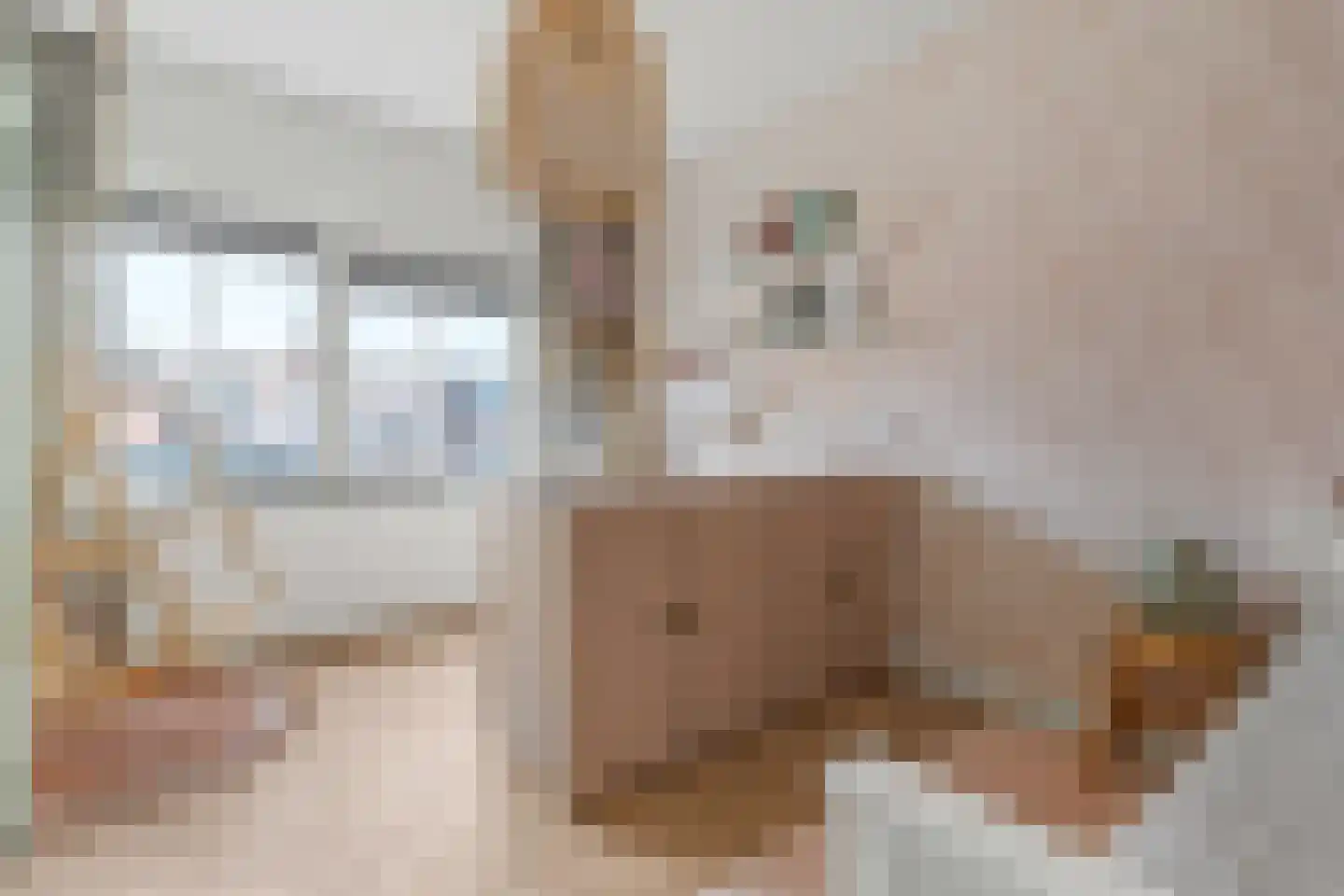 2de Poortstraat 5 Hoef en Haag thumbnail 17