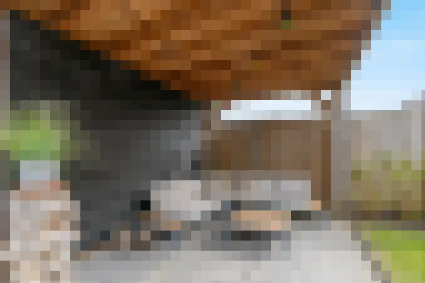 2de Poortstraat 5 Hoef en Haag thumbnail 27