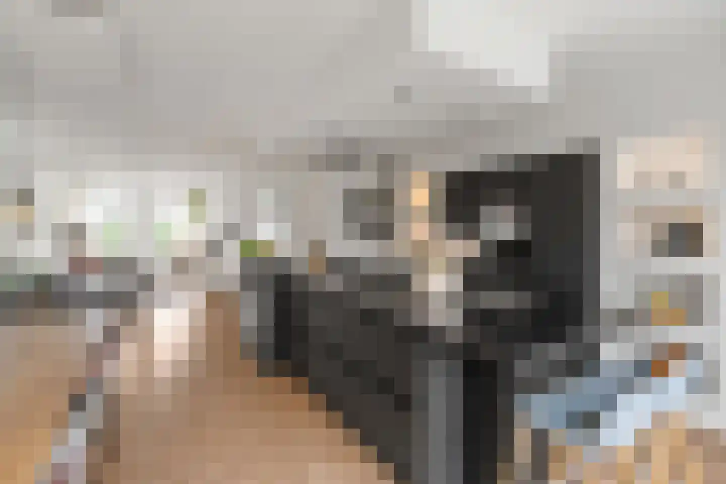 2de Poortstraat 5 Hoef en Haag thumbnail 5
