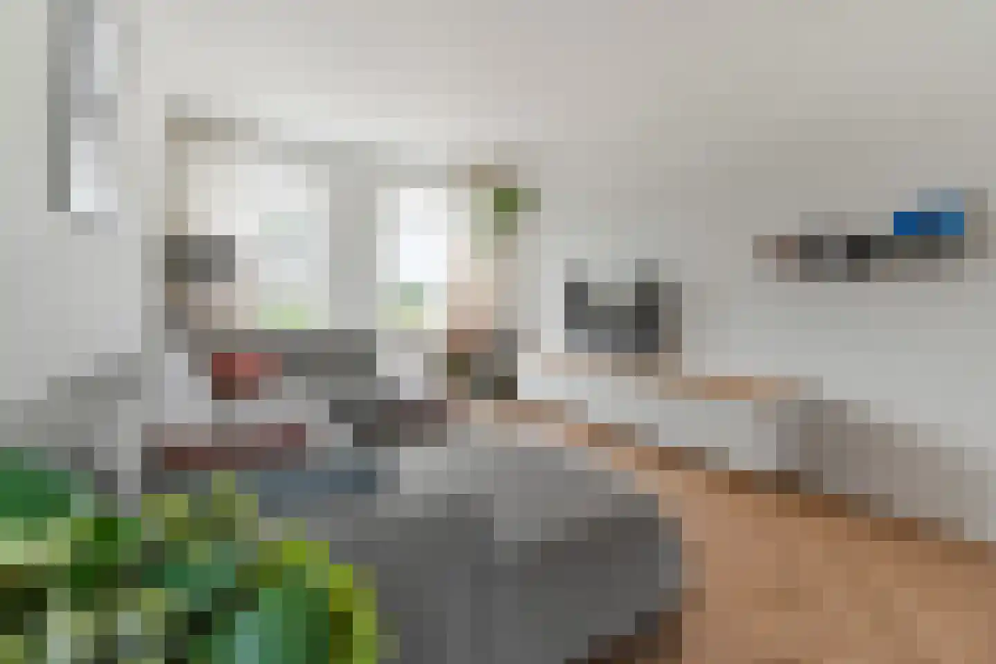 2de Poortstraat 5 Hoef en Haag thumbnail 8