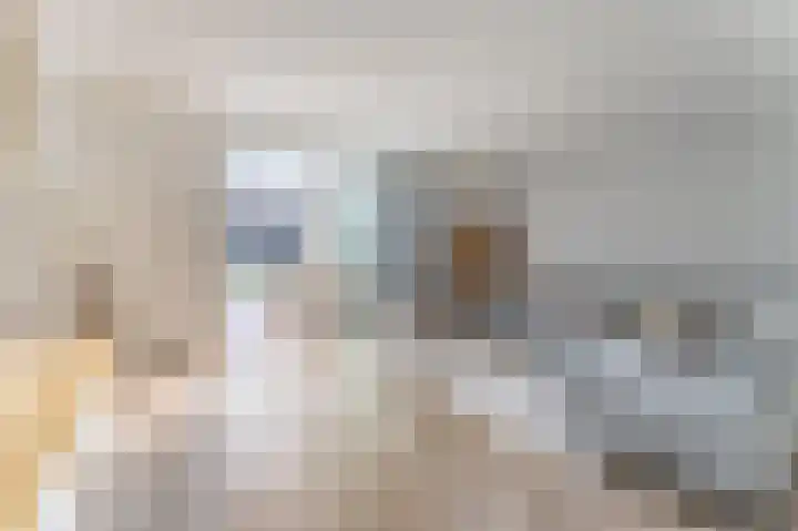 2de Poortstraat 7 Hoef en Haag thumbnail 13